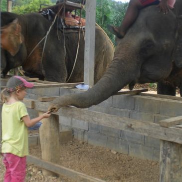 Khao Sok mit Kindern: Ein perfektes Dschungelabenteuer