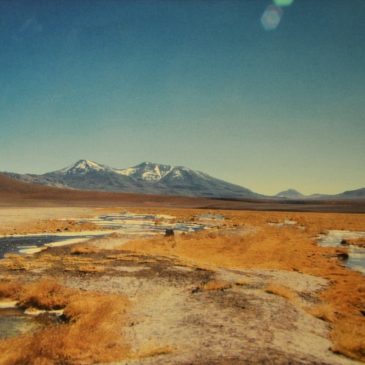 Von der Wüste ins Eis: Chile oder mein allerschönstes Naturerlebnis