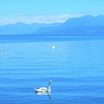 Auszeit am See: Wo ist es am schönsten? *Blogparade*