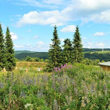 Erzgebirge-Relaxing oder wieso ein Familienhotel mal unglaublich gut tut