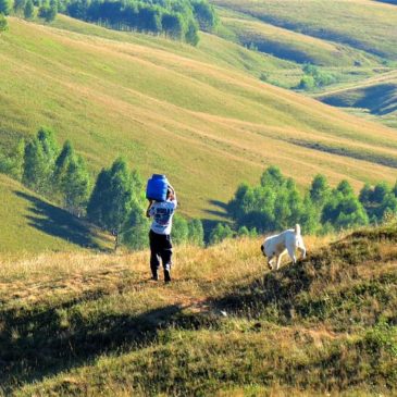 Das wilde Herz Rumäniens: Berge, Bären, Bauernhöfe – Und über eine kleine Familie mit großen Plänen