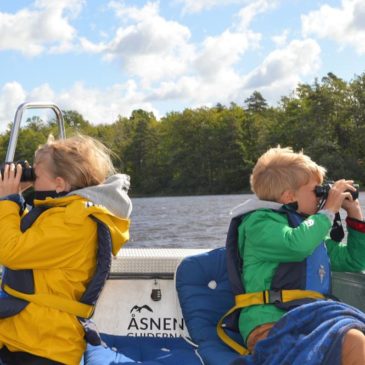 Unser Roadtrip im Norden: Von Fehmarn nach Schweden bis Finnland und zurück