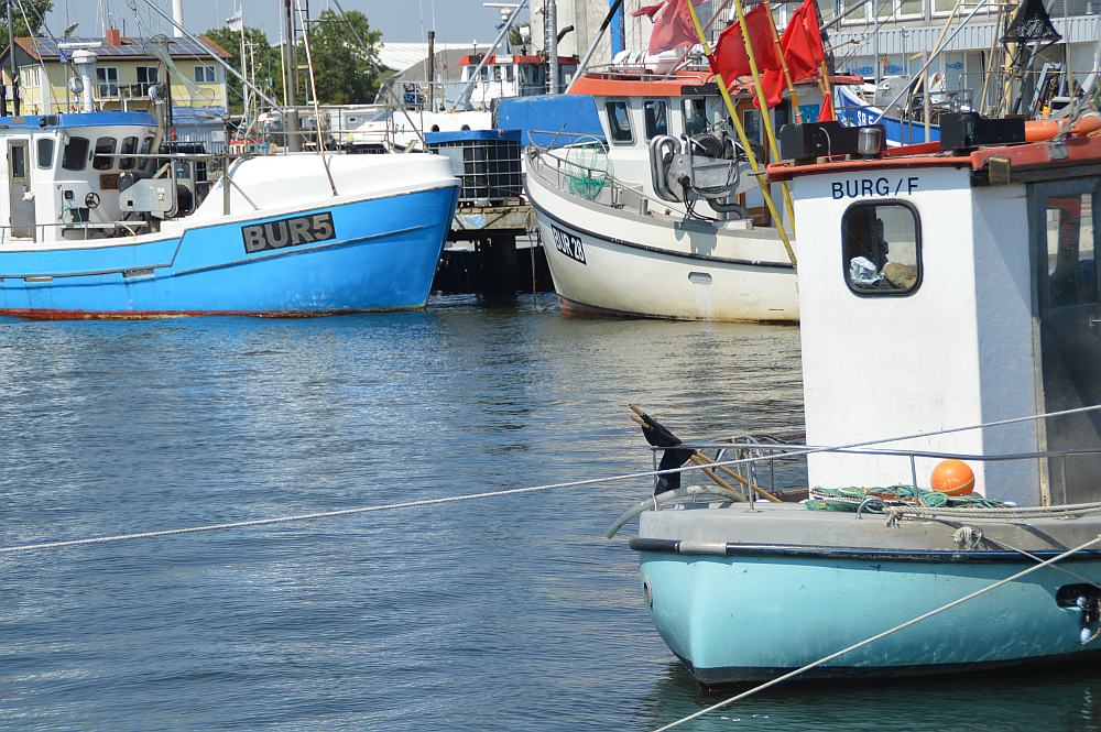 Fehmarn mit Kindern