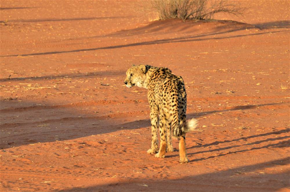 Namibia mit Kindern