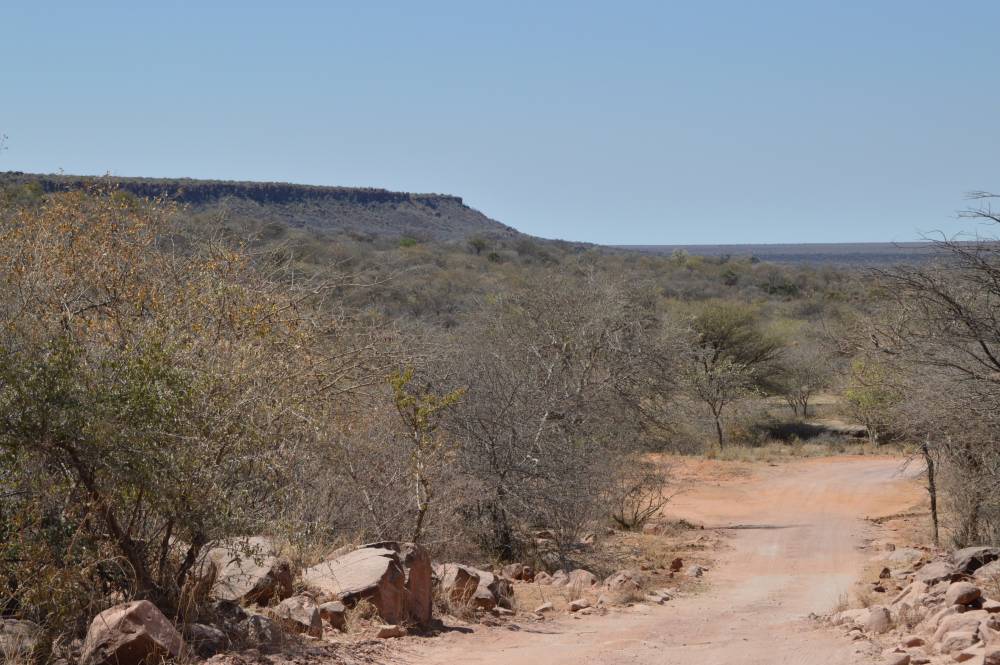 Namibia mit Kindern Waterberg