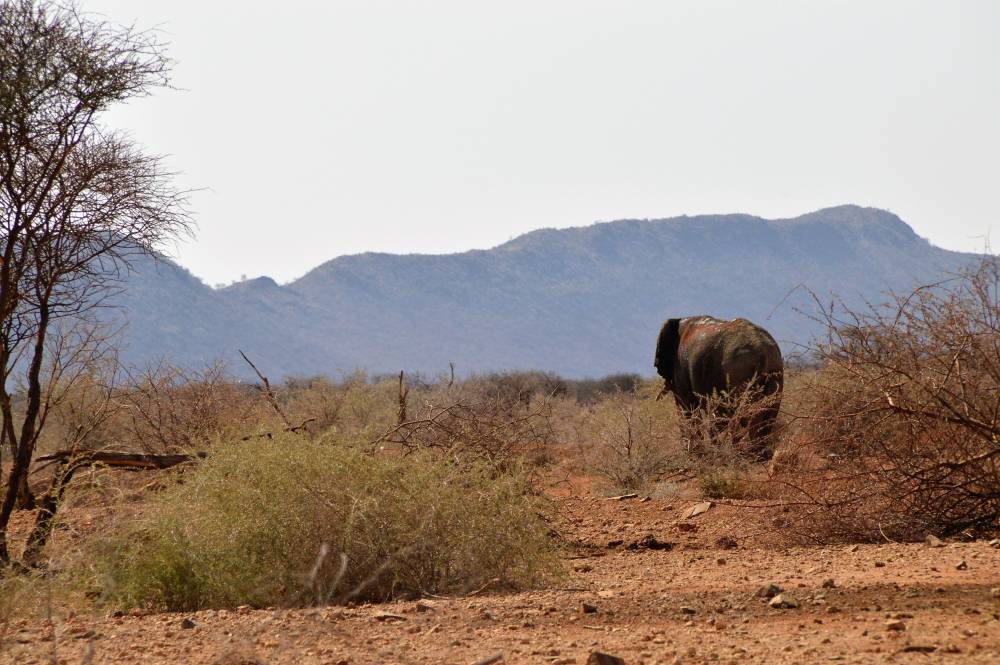 Namibia mit Kindern