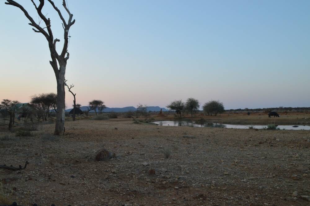 Namibia mit Kindern Elephant Lodge